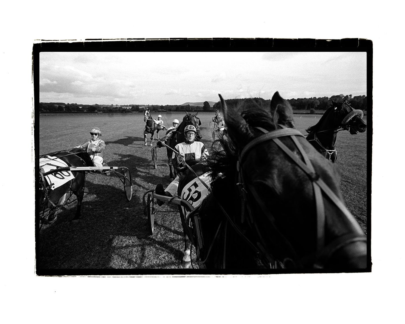 trotting meet