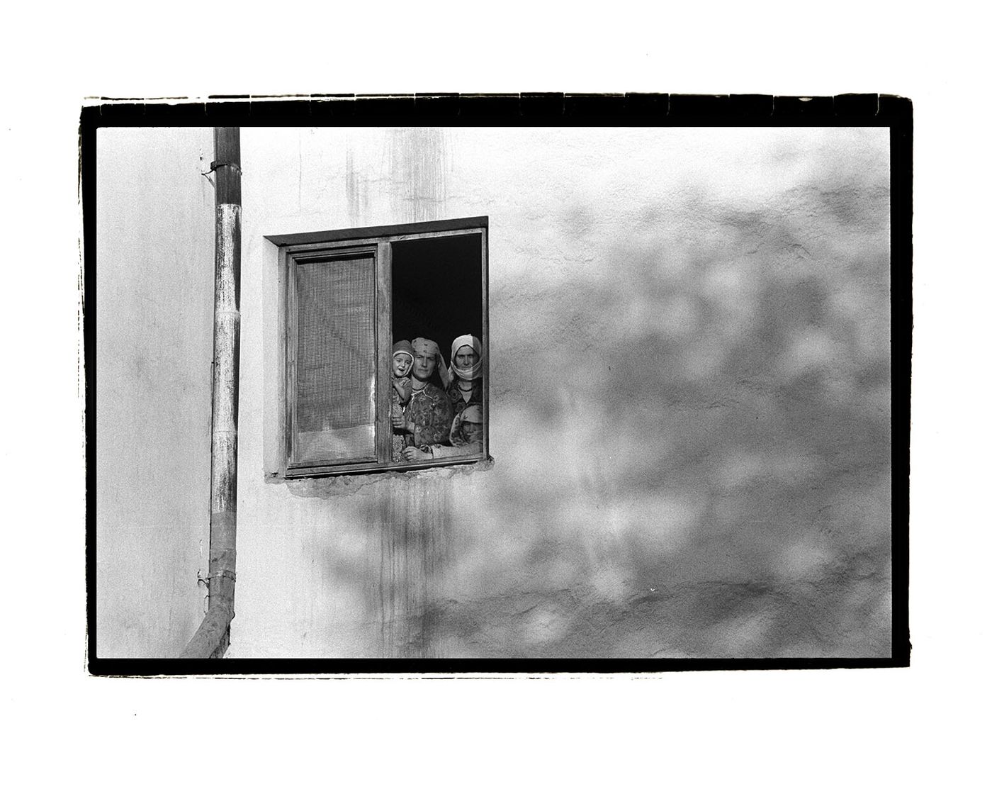 displaced person 4