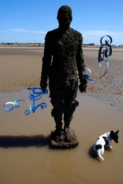 Contemporaneous Intervention No73