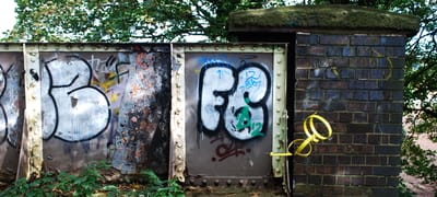 Contemporaneous Intervention No81