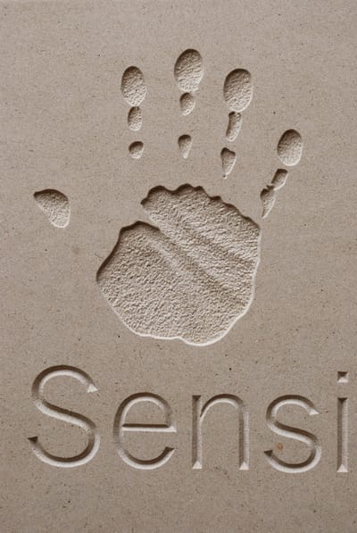 Sensing Sculpture