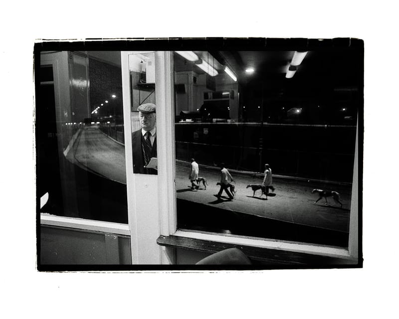 Dog Track