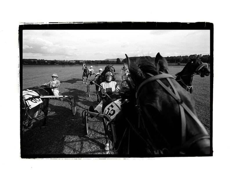 trotting meet