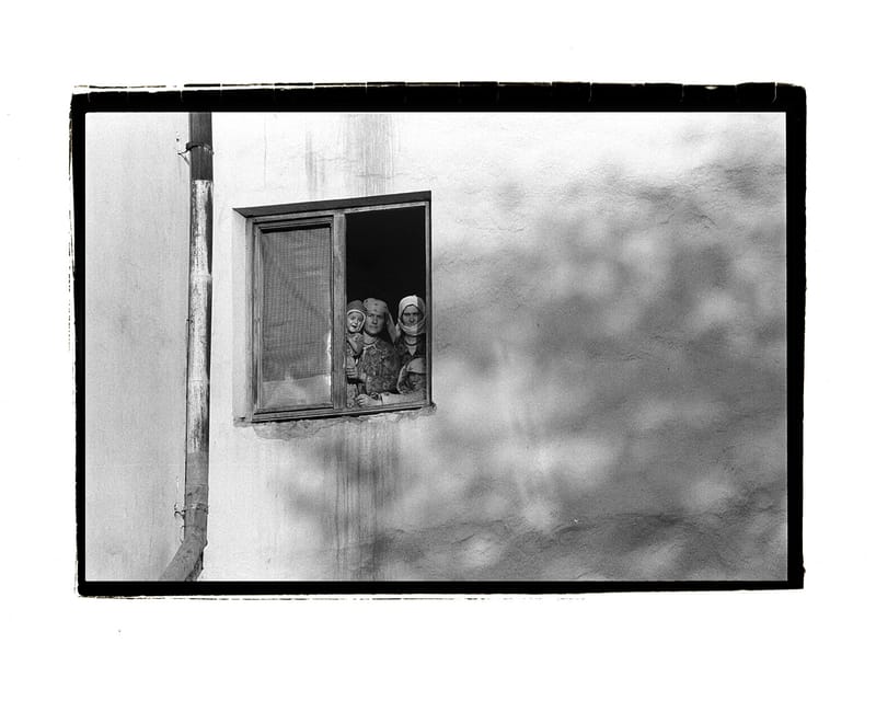displaced person 4