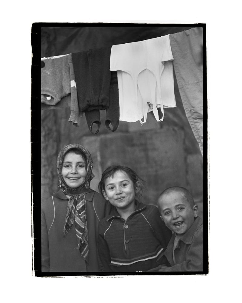 displaced person 8